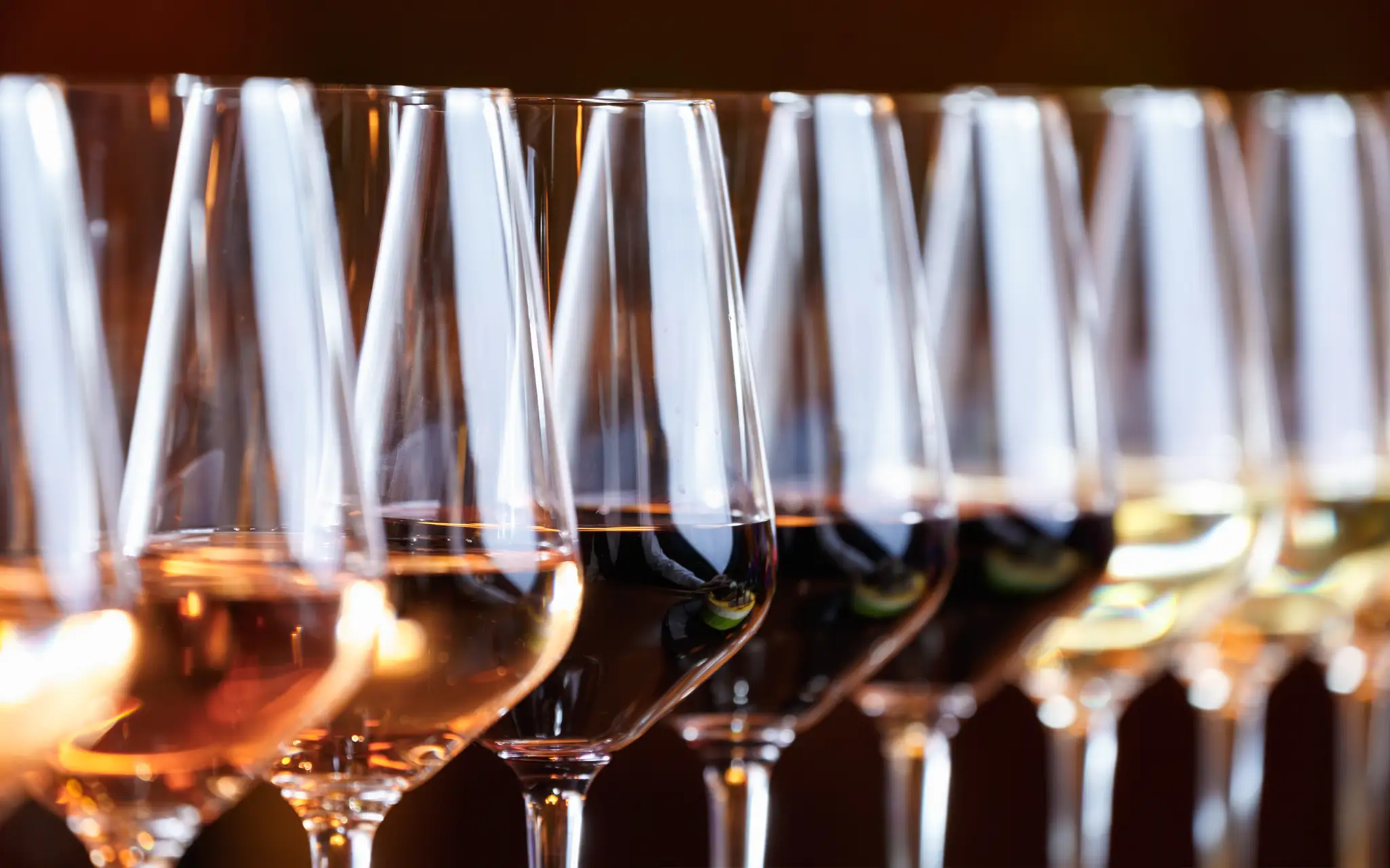 Kontakt zu Wein Tasting München