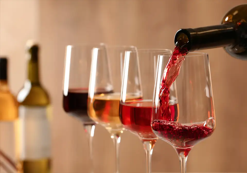 Weinauswahl bei Wein Tasting mit Rotwein und Weißwein