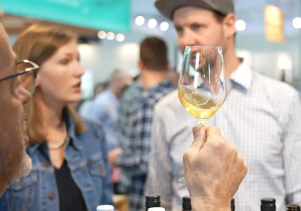 Weinauswahl verschiedener Weinregionen für neugierige Weinliebhaber